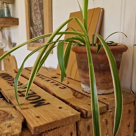 캠프장 Wainstones Shepherd's Hut Chop Gate