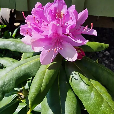 Wainstones Shepherd's Hut Campeggio Chop Gate