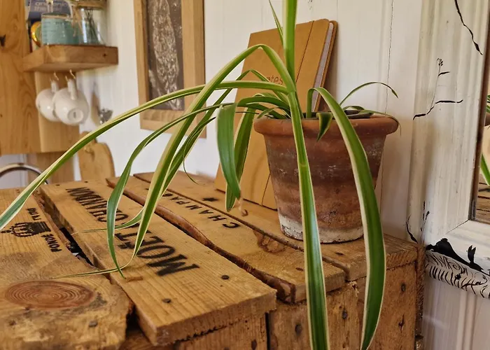 Campsite Wainstones Shepherd's Hut Chop Gate